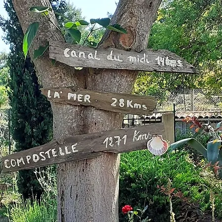 L'écrin De L'orb